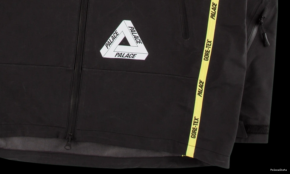 Affordable Palace Gore-Tex Palex Jacket 0722